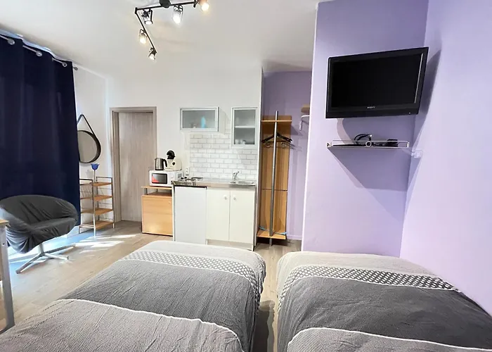 Cozy Compact Studio France